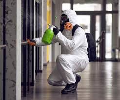 Best Mold Remediation for Healthcare Facilities  in Cookeville, TN