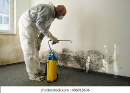 Best Mold Removal for HVAC Installations  in Cookeville, TN